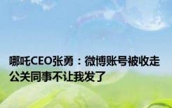 哪吒CEO张勇：微博账号被收走 公关同事不让我发了