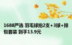 1688严选 羽毛球拍2支+3球+排包套装 到手13.9元