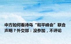 中方如何看待乌“和平峰会”联合声明？外交部：没参加，不评论