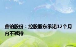 鑫铂股份：控股股东承诺12个月内不减持