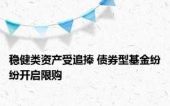 稳健类资产受追捧 债券型基金纷纷开启限购