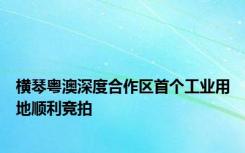 横琴粤澳深度合作区首个工业用地顺利竞拍