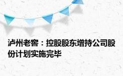 泸州老窖：控股股东增持公司股份计划实施完毕