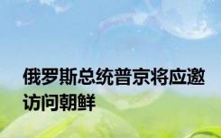 俄罗斯总统普京将应邀访问朝鲜