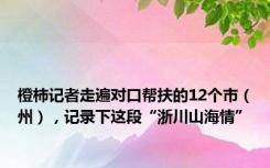 橙柿记者走遍对口帮扶的12个市（州），记录下这段“浙川山海情”