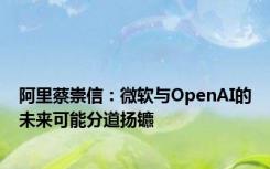 阿里蔡崇信：微软与OpenAI的未来可能分道扬镳