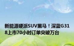 新能源硬派SUV黑马！深蓝G318上市70小时订单突破万台