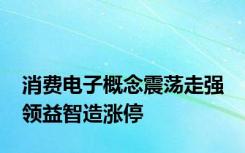 消费电子概念震荡走强 领益智造涨停