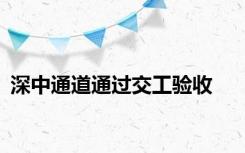 深中通道通过交工验收