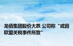 龙佰集团股价大跌 公司称“或因欧盟关税事件所致”