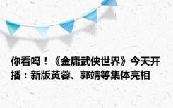 你看吗！《金庸武侠世界》今天开播：新版黄蓉、郭靖等集体亮相