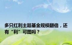 多只红利主题基金规模翻倍，还有“利”可图吗？