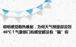 明明感觉酷热难耐，为何天气预报却没到40℃？气象部门和感觉都没有“骗”你