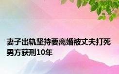 妻子出轨坚持要离婚被丈夫打死 男方获刑10年