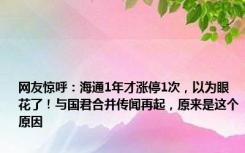 网友惊呼：海通1年才涨停1次，以为眼花了！与国君合并传闻再起，原来是这个原因