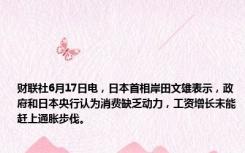 财联社6月17日电，日本首相岸田文雄表示，政府和日本央行认为消费缺乏动力，工资增长未能赶上通胀步伐。