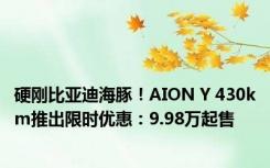 硬刚比亚迪海豚！AION Y 430km推出限时优惠：9.98万起售