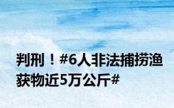 判刑！#6人非法捕捞渔获物近5万公斤#