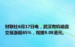 财联社6月17日电，武汉有机暗盘交易涨超65%，现报9.08港元。