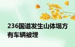 236国道发生山体塌方 有车辆被埋