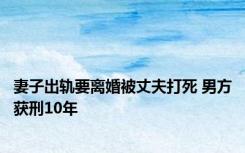 妻子出轨要离婚被丈夫打死 男方获刑10年