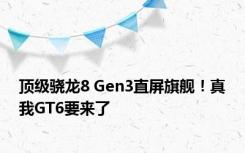 顶级骁龙8 Gen3直屏旗舰！真我GT6要来了