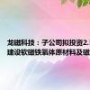 龙磁科技：子公司拟投资2.56亿元建设软磁铁氧体原材料及磁芯项目