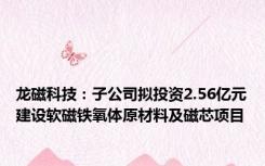 龙磁科技：子公司拟投资2.56亿元建设软磁铁氧体原材料及磁芯项目