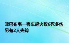 津巴布韦一客车起火致6死多伤 另有2人失踪