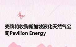 壳牌将收购新加坡液化天然气公司Pavilion Energy