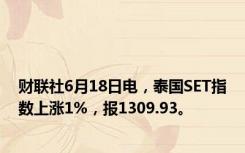 财联社6月18日电，泰国SET指数上涨1%，报1309.93。