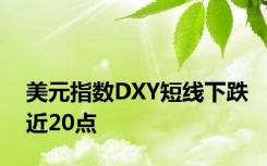 美元指数DXY短线下跌近20点