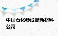 中国石化参设高新材料公司