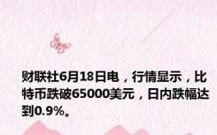 财联社6月18日电，行情显示，比特币跌破65000美元，日内跌幅达到0.9%。