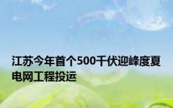 江苏今年首个500千伏迎峰度夏电网工程投运