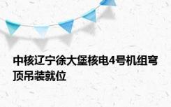 中核辽宁徐大堡核电4号机组穹顶吊装就位