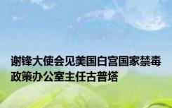 谢锋大使会见美国白宫国家禁毒政策办公室主任古普塔