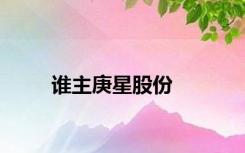 谁主庚星股份