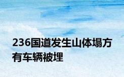 236国道发生山体塌方 有车辆被埋