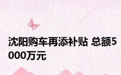 沈阳购车再添补贴 总额5000万元