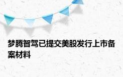 梦腾智驾已提交美股发行上市备案材料