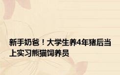 新手奶爸！大学生养4年猪后当上实习熊猫饲养员