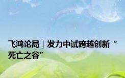 飞鸿论局｜发力中试跨越创新“死亡之谷”