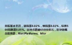 美股基本平开，道指涨0.02%，纳指涨0.02%，标普500指数涨0.05%。比特币跌破65000美元，区块链概念股普跌，Riot Platforms、Micr