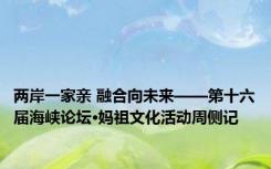 两岸一家亲 融合向未来——第十六届海峡论坛·妈祖文化活动周侧记