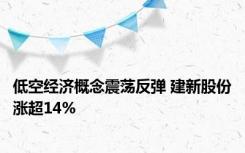 低空经济概念震荡反弹 建新股份涨超14%