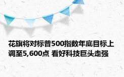 花旗将对标普500指数年底目标上调至5,600点 看好科技巨头走强