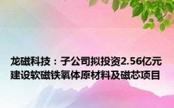 龙磁科技：子公司拟投资2.56亿元建设软磁铁氧体原材料及磁芯项目