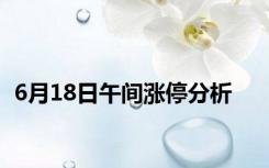 6月18日午间涨停分析