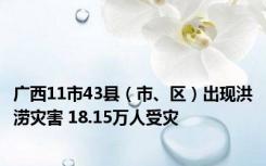 广西11市43县（市、区）出现洪涝灾害 18.15万人受灾